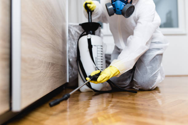 Best Rat Extermination Near Me  in Benson, NC