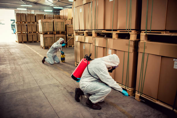 Best Exterminator Services  in Benson, NC