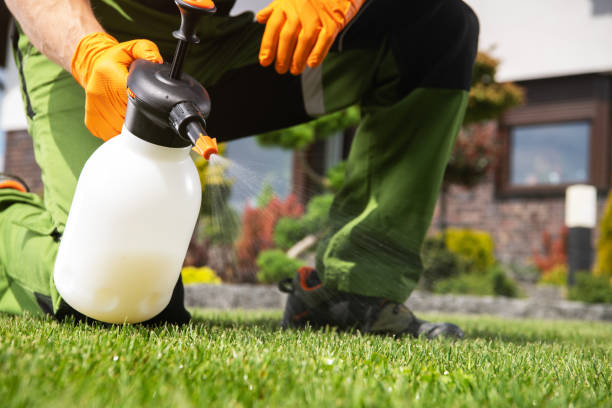 Best Residential Pest Control  in Benson, NC