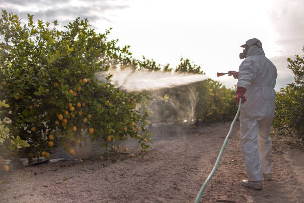 Benson, NC Pest Control Company