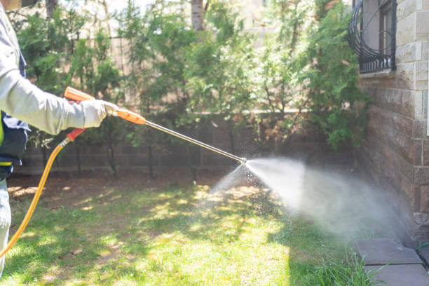 Best Best Pest Control Companies  in Benson, NC