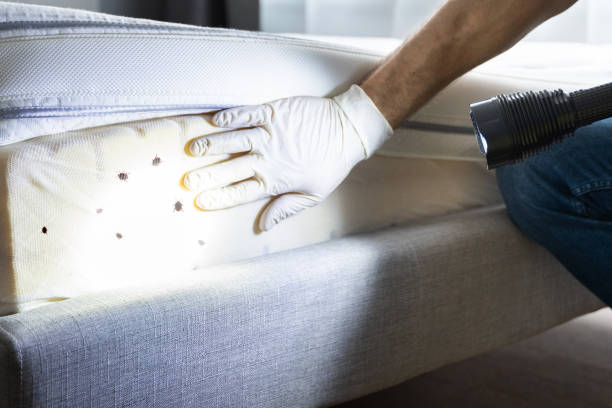 Best Commercial Pest Control Services  in Benson, NC
