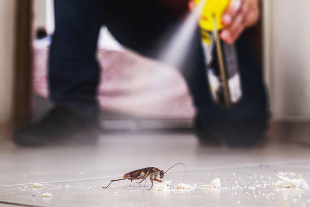Best Wildlife Control Services  in Benson, NC