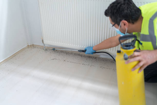 Best Flea Control Services  in Benson, NC