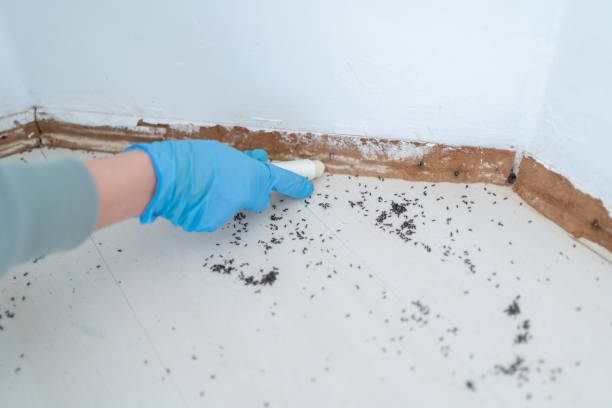 Best Pest Control Treatment  in Benson, NC