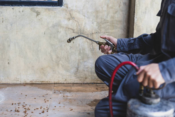 Best Local Pest Control Services  in Benson, NC